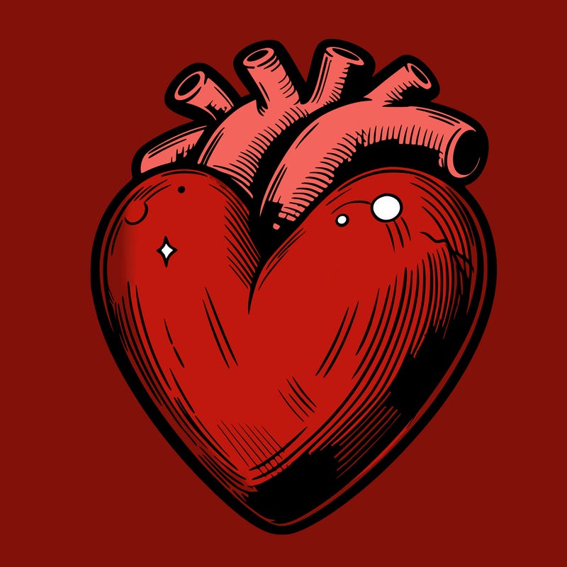 realistic heart
