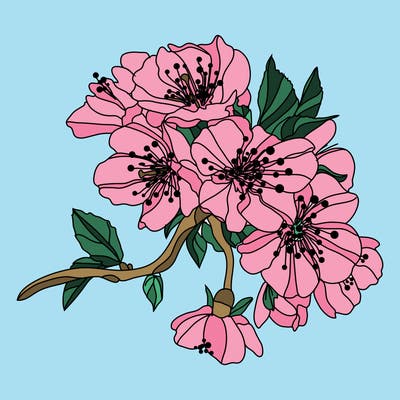 flowers_03