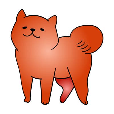 animals_29