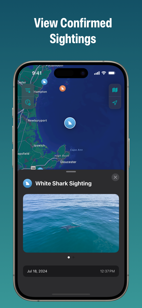 Sharktivity by AWSC - Screenshot of the Sharktivity app showing an interactive map with confirmed white shark sightings and a detailed sighting report with a photo.