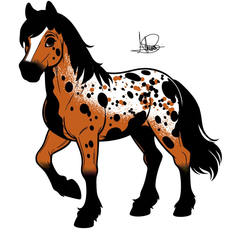 real appaloosa horses