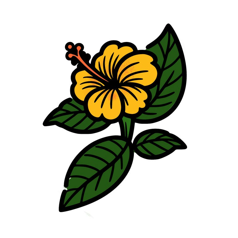 simple hibiscus flower