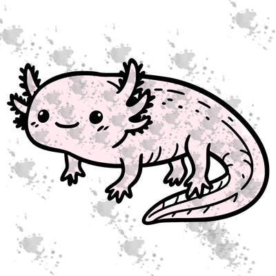 axolotl