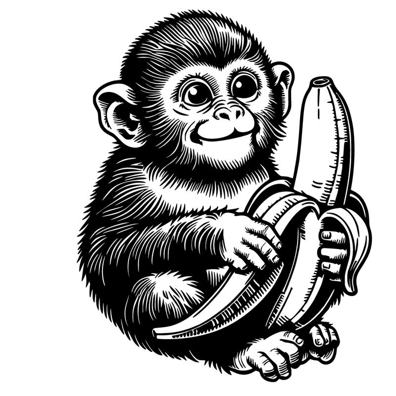 realistic monkey eating a realistic banana