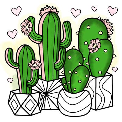flowers_24_new