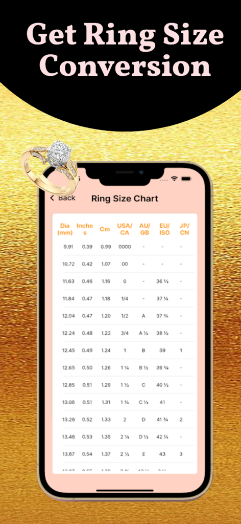 Ring Sizer - Ring Size Measure - A smartphone screen displaying a comprehensive ring size conversion chart with international standards.