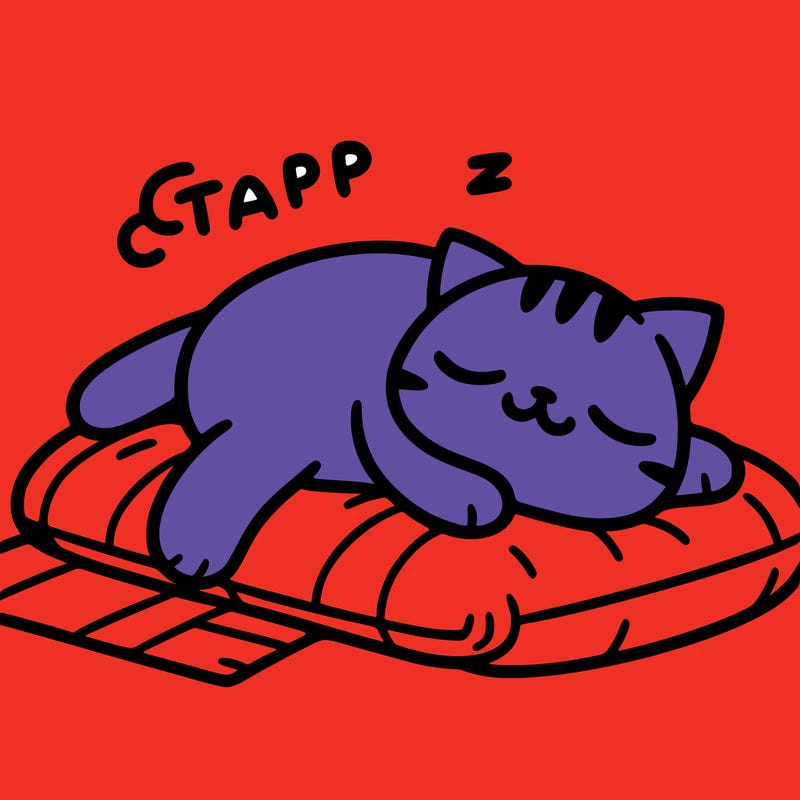 catnap