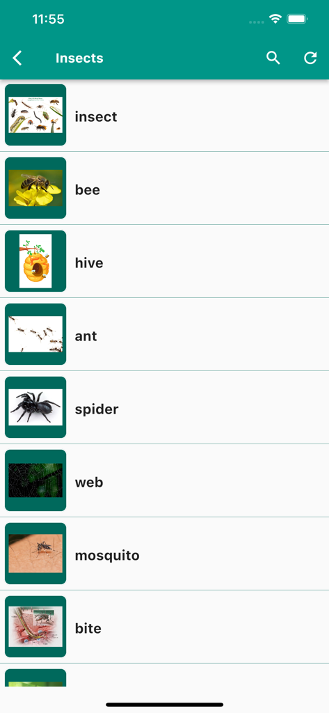 English Vocabulary in Use - A list of insect vocabulary words like bee ant and mosquito with corresponding images in the English Vocabulary in Use app