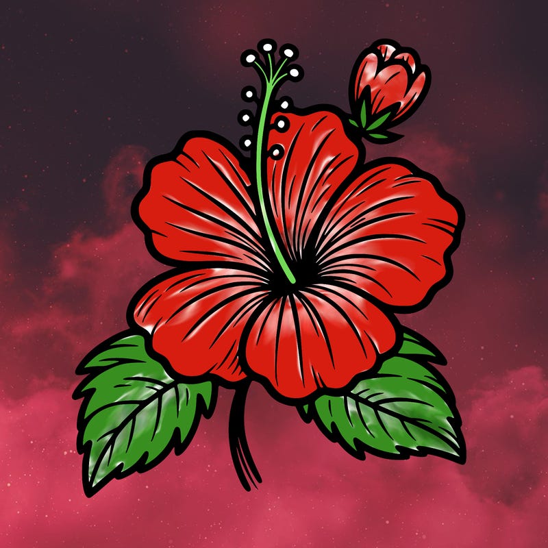 hibiscus flower