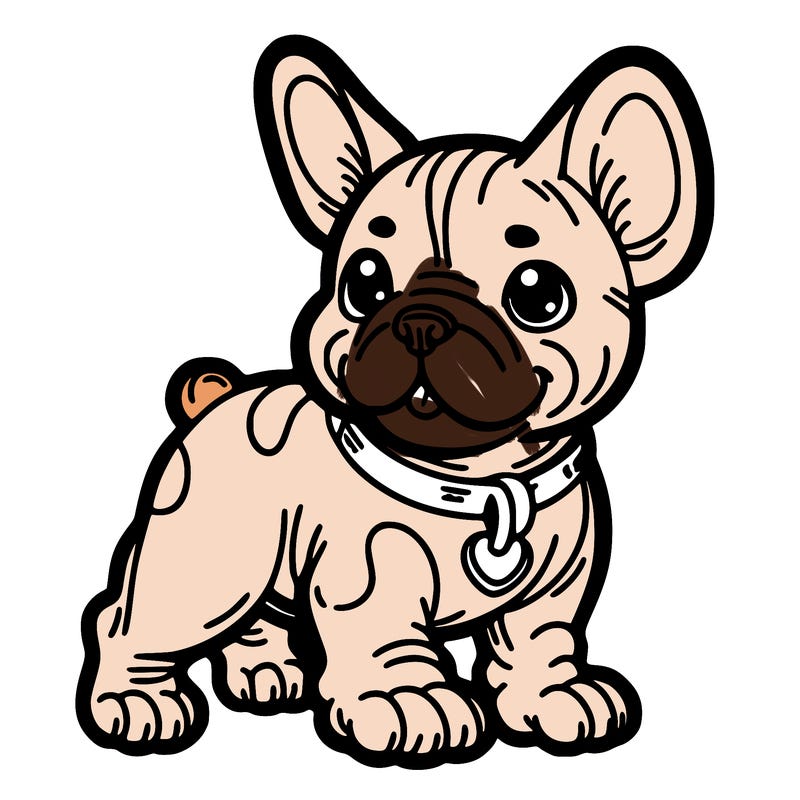 french bulldog