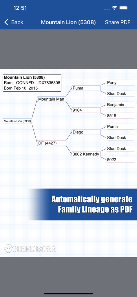 HerdBoss - A family lineage pedigree chart for a ram in the HerdBoss breeding management app