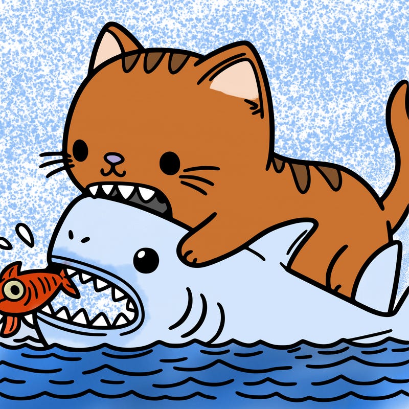 cat eating shark