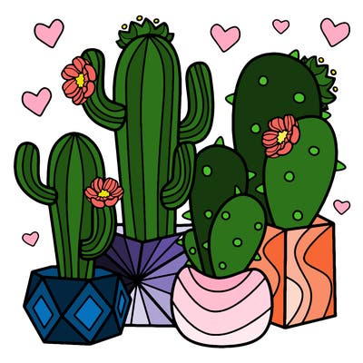 flowers_24_new