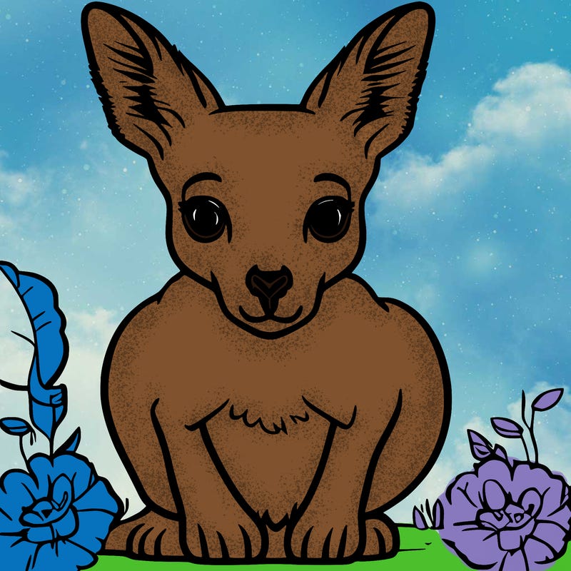 a baby kangaroo