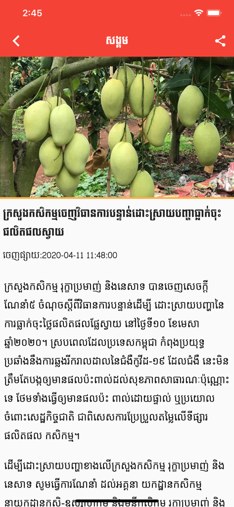 VAYO FM Radio app displaying a news article in Khmer language with a photo of mangoes on a tree