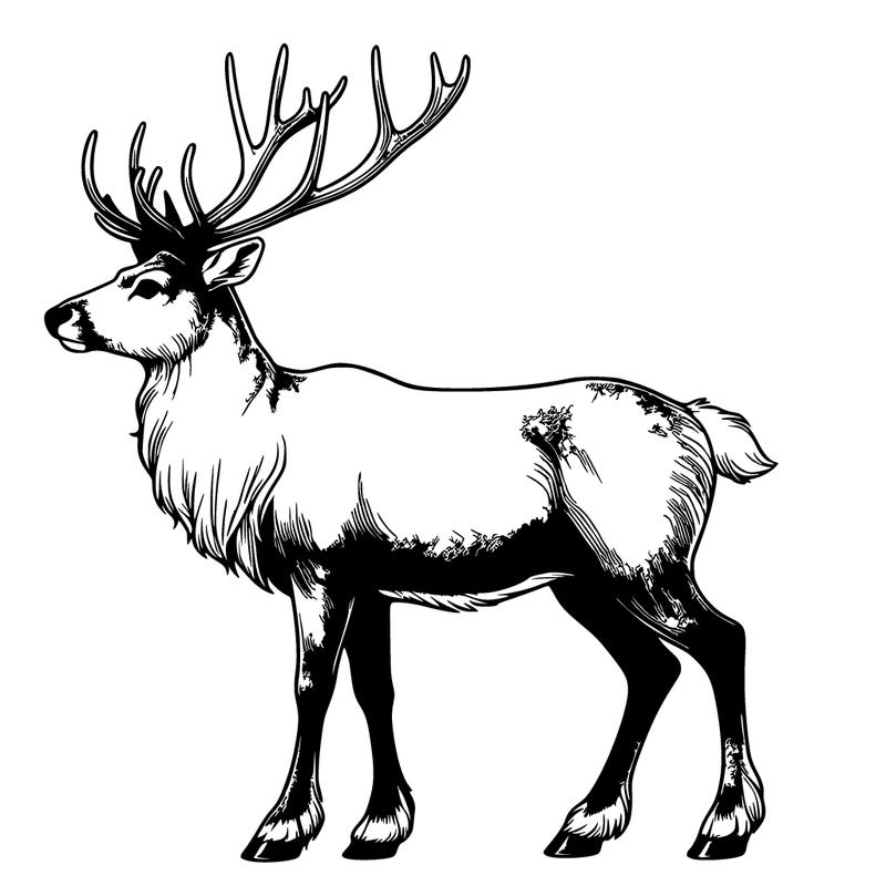 realistic reindeer