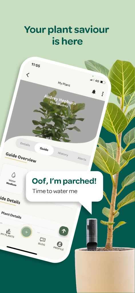 Plant with Willow - Plant with Willow app interface displaying a watering notification for a Ficus Audrey plant next to a smart soil sensor