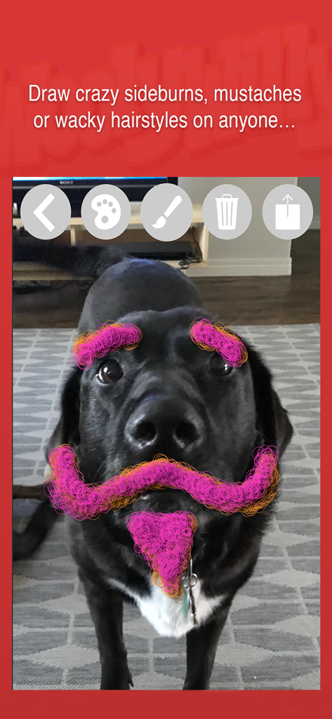 Wooly Willy - A black dog with pink and orange digital facial hair drawn on its face using the Wooly Willy app