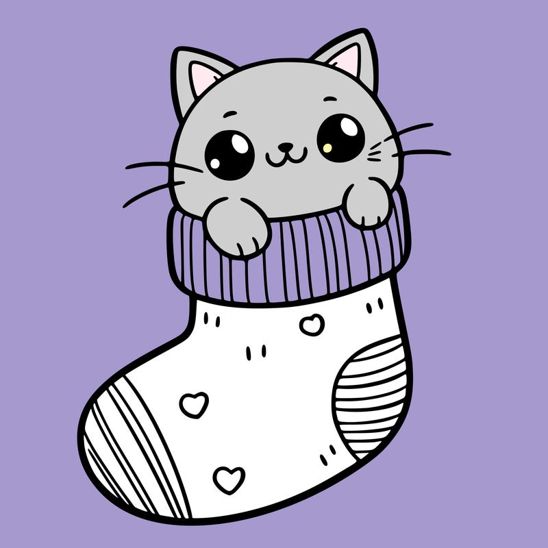 cute cat in a sock