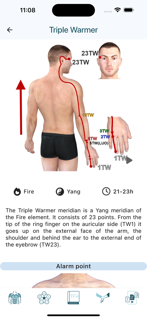 Diagram showing the Triple Warmer meridian path and anatomical points on a human body in the Touch For Health app