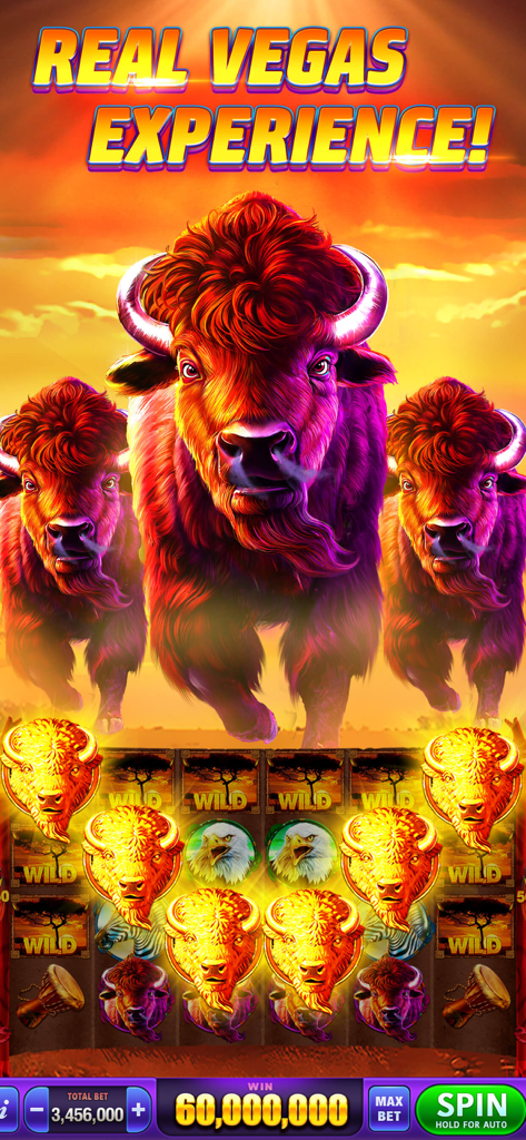 DoubleHit Slots Casino Game - Buffalo themed slot machine in DoubleHit Casino game showing a massive 60 million coin win with vibrant sunset background