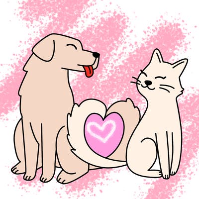 animals_22