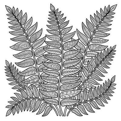 Discover the beauty of nature with this exquisite Zentangle Ladder Fern coloring page. Its intricate patterns offer a unique opportunity for mindful coloring and creative expression.