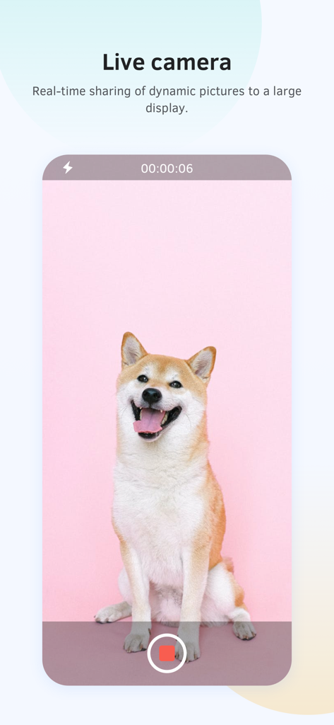 Interfaz de la aplicación Bytello Share que demuestra la transmisión de cámara en vivo de un perro Shiba Inu a una pantalla grande