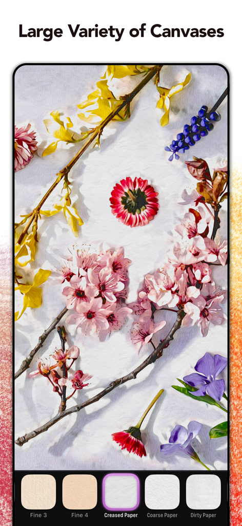 Graphite app interface showing a floral sketch with various paper and canvas texture options like creased and coarse paper.