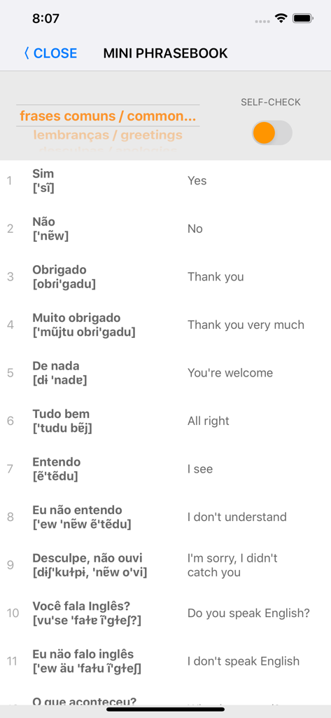 Learn Portuguese words with ST - Una interfaz de minilibro de frases en la aplicación de aprendizaje de portugués que muestra frases comunes con transcripciones fonéticas y traducciones