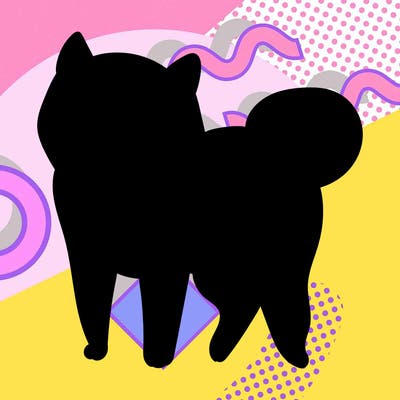 animals_29