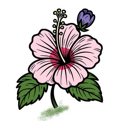 hibiscus flower