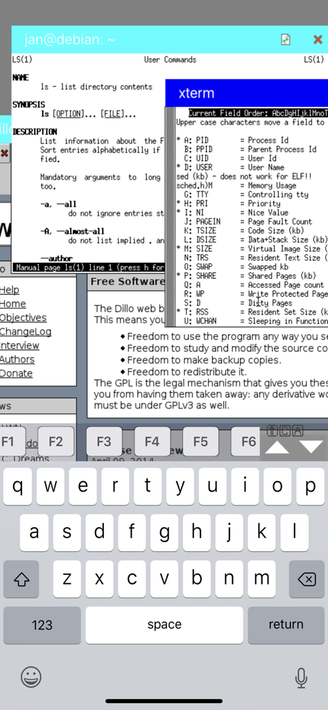 Mocha X11 - iPhone 上の仮想キーボードとターミナル ウィンドウを備えたリモート Linux デスクトップを表示する Mocha X11 インターフェイス