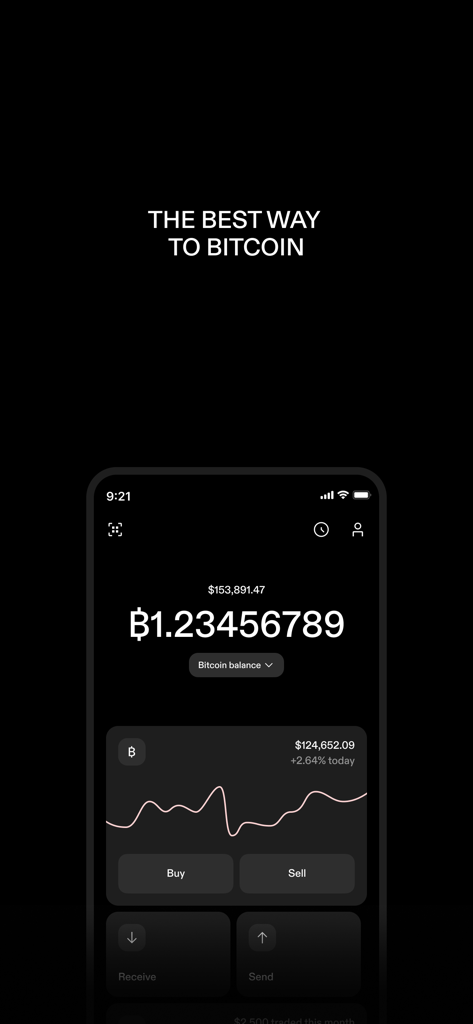 STRIKE: BUY & HOLD BITCOIN - Strike app dashboard showing a bitcoin balance and price chart on a smartphone screen
