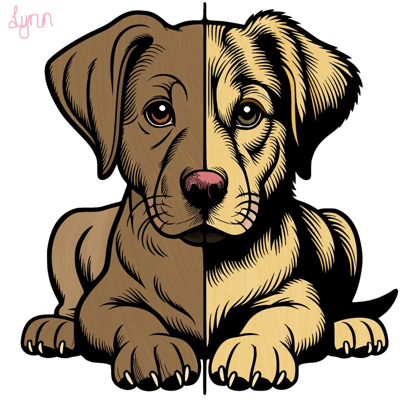 realistic dog split picture