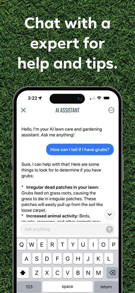Lawn AI: Yard And Grass Care - Interfaz de chat de la aplicación Lawn AI que muestra a un usuario pidiendo consejo sobre el cuidado del césped a un asistente de IA.