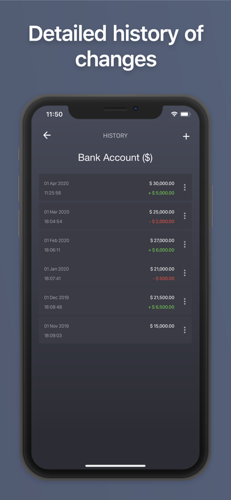 Cronologia mensile dettagliata delle variazioni di saldo per un conto bancario nell'app Net Worth by BalanceViewer
