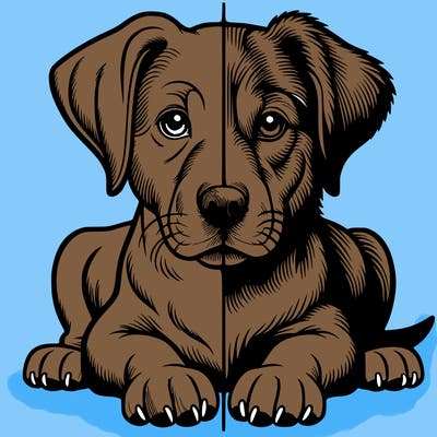 realistic dog split picture