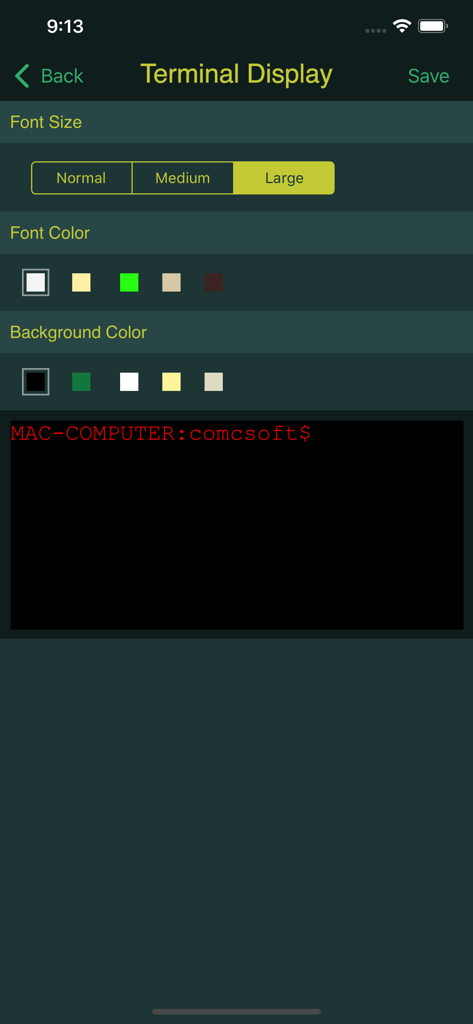 Terminal display customization screen in iTerminal showing font size and color options