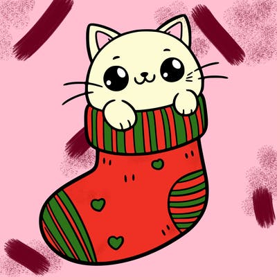 cute cat in a sock