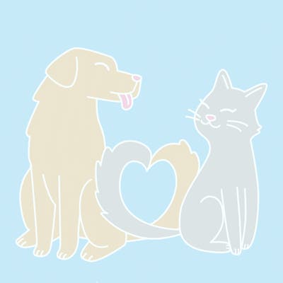 animals_22