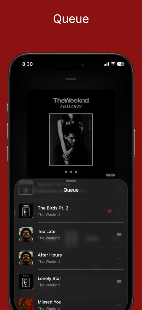 Melosik - local Music player - Melosik music player queue interface with a dark theme and glass design