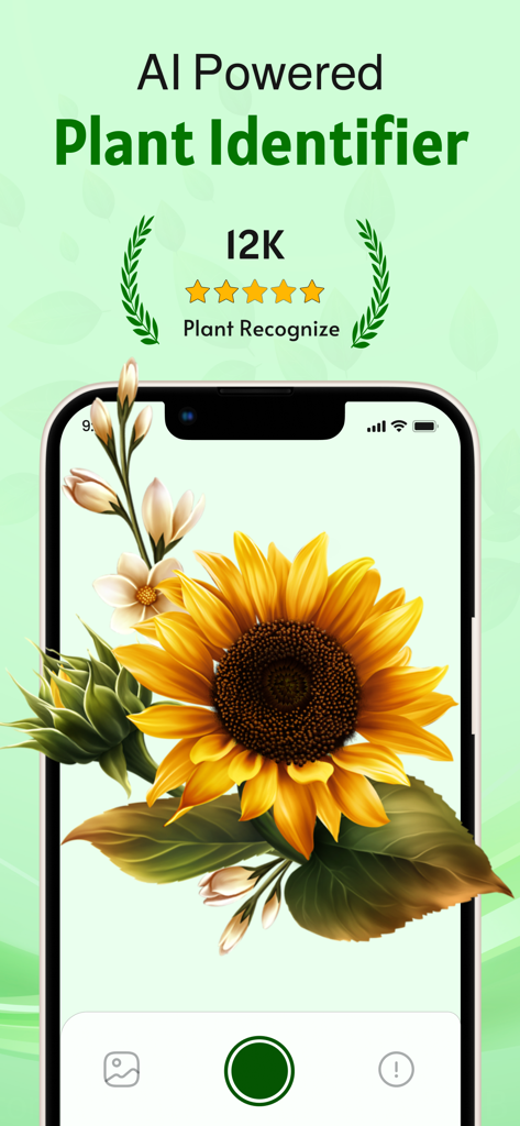 Plant Identifier &Disease Care - Interfaz de aplicación de Identificador de Plantas con IA que muestra una pantalla de reconocimiento de girasol