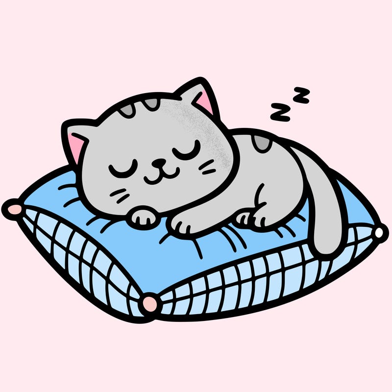 cat sleeping on pillow