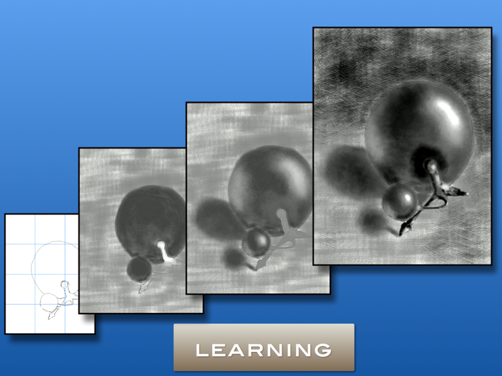 Drawing Box - A step by step drawing lesson illustrating the process of sketching and shading realistic grapes