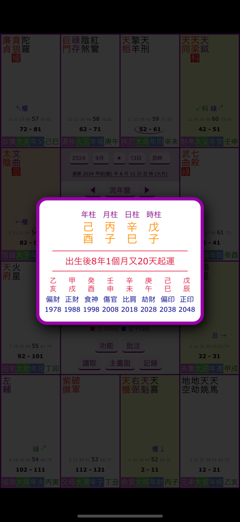 紫微四化飛星 - Technische Flussstern-Astrologiekarte Zi Wei Dou Shu mit überlagerten BaZi-Vier Säulen und Glückszyklen.