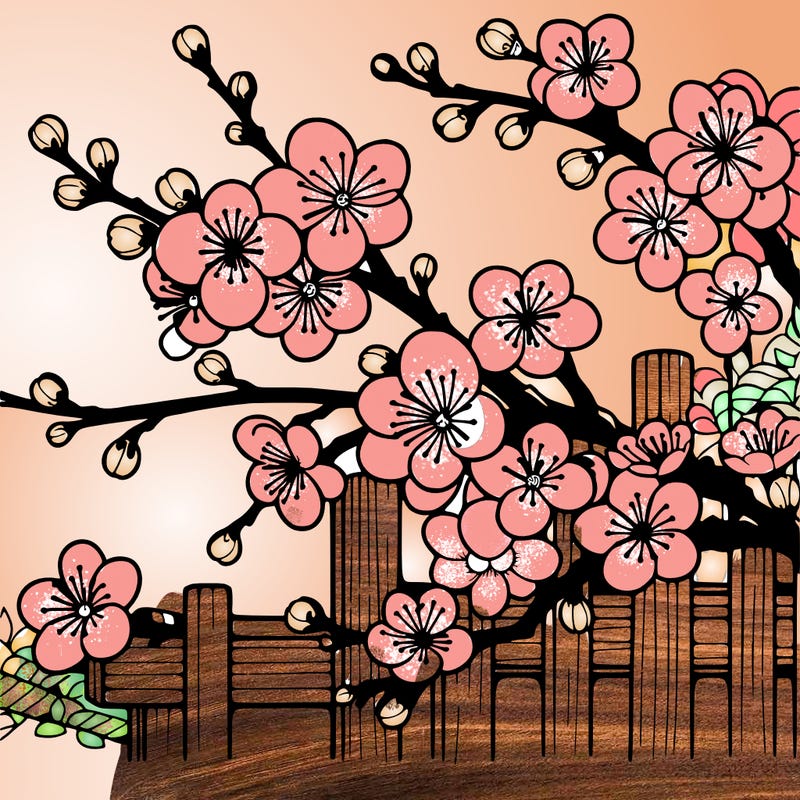 japan cherry blossom