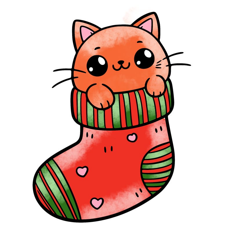 cute cat in a sock