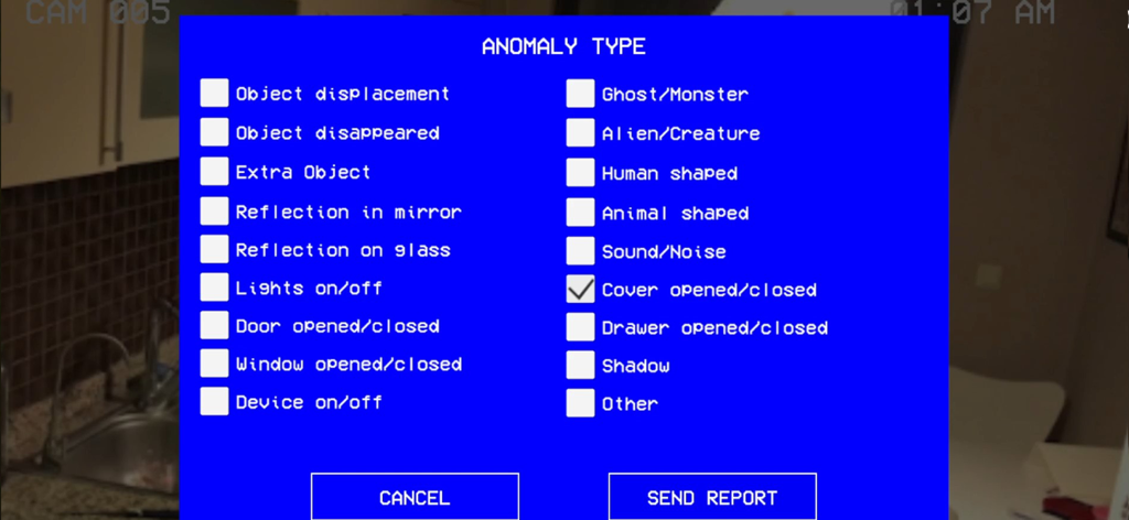 Paranormal Inc. - A blue anomaly type selection menu in Paranormal Inc featuring checkboxes for reporting paranormal activities on a CCTV feed.
