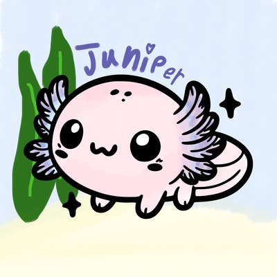 cute easy baby axolotl